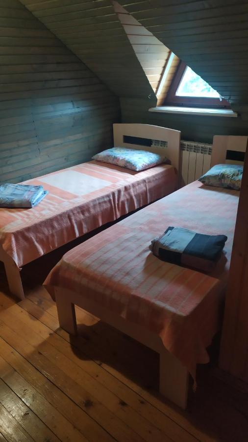 SkhidnytsiaZolota Rybka别墅 外观 照片